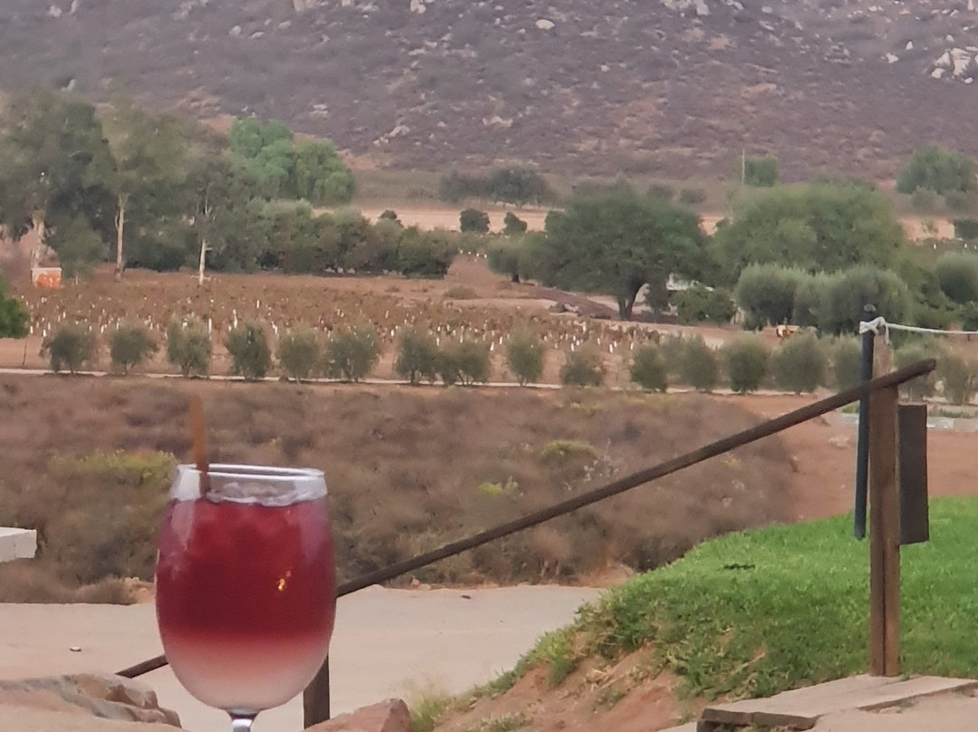 Decantos Vinicola景点图片