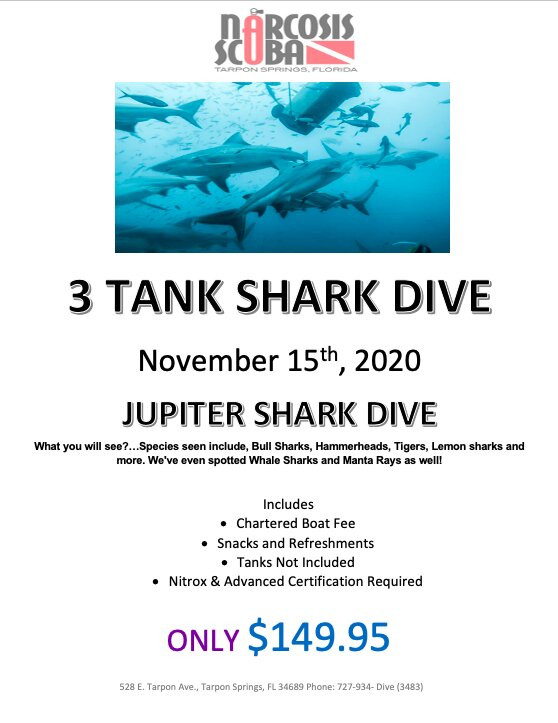 Narcosis Scuba Center-塔彭斯普林斯必去景点