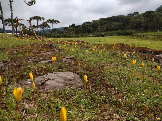 Pousada Lago da Colina主图