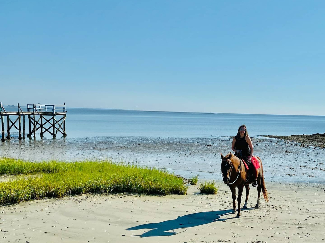 Camelot Farms Equestian Center-Saint Helena Island必去景点