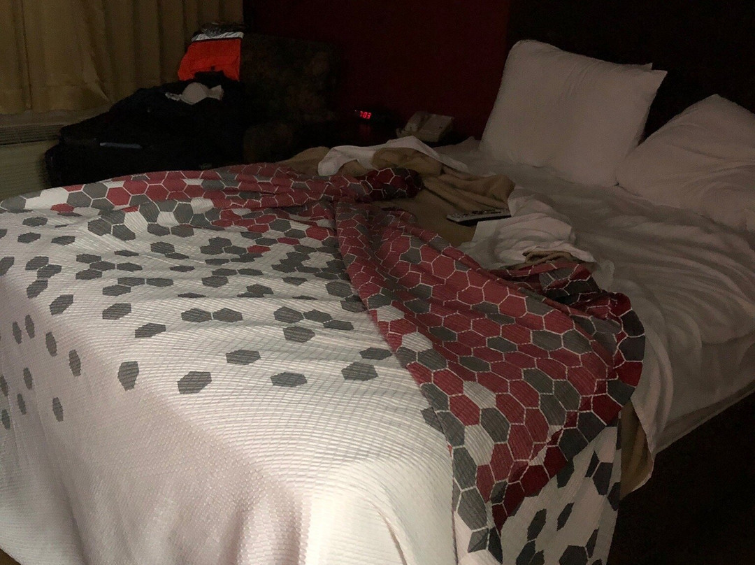 Econo Lodge Marion I-81主图