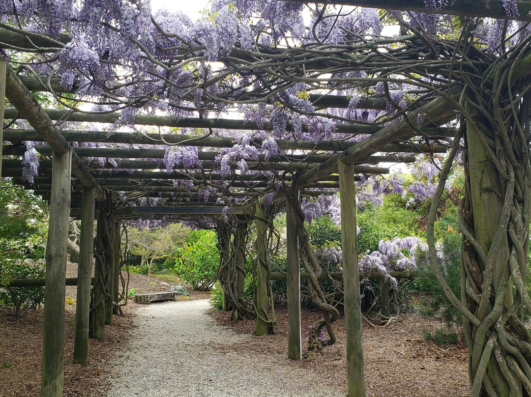 Miyazu Japanese Garden-尼尔森必去景点