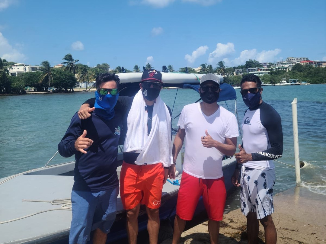 East Coast Water Taxi-法哈多必去景点