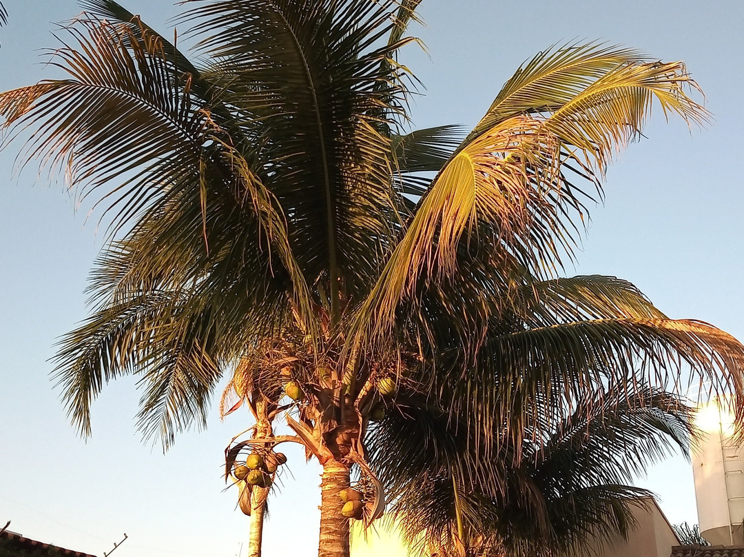 Emmis Park Hotel主图