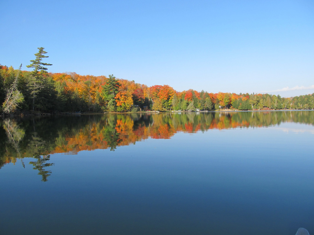 Teddy Bear Bed & Breakfast主图