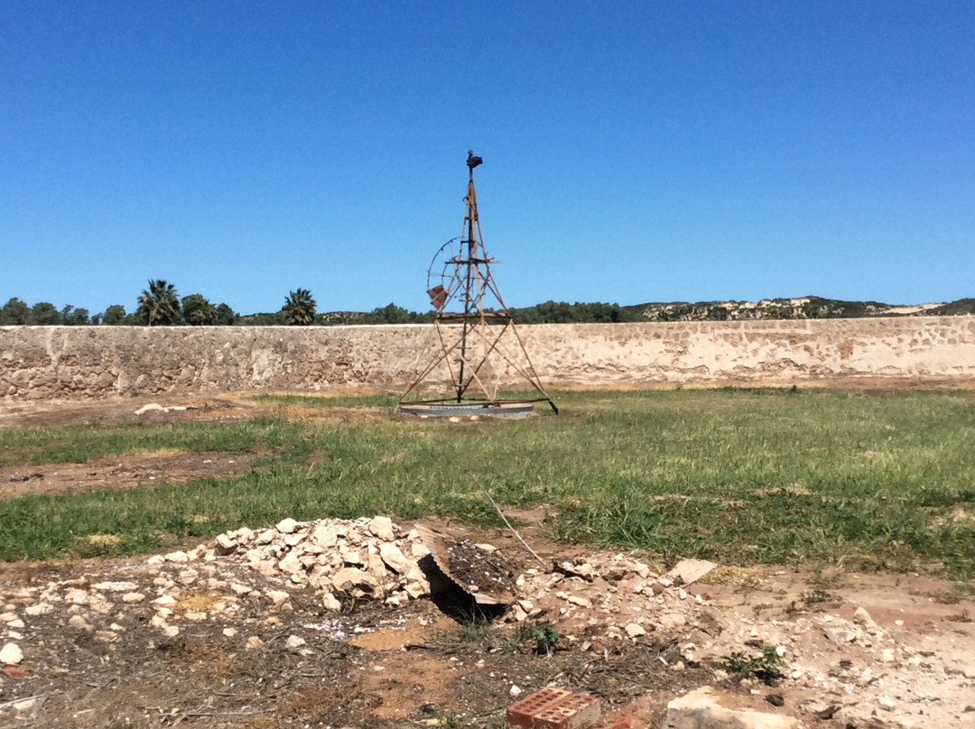 Gray's Store-Greenough必去景点
