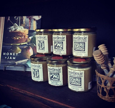 Le Marche Sassafras-Sassafras必去景点