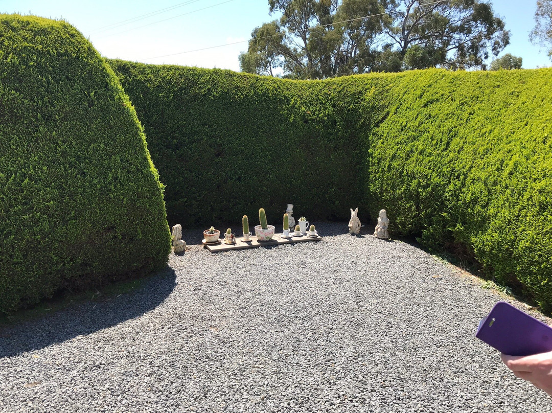 Mintaro Maze-Mintaro必去景点