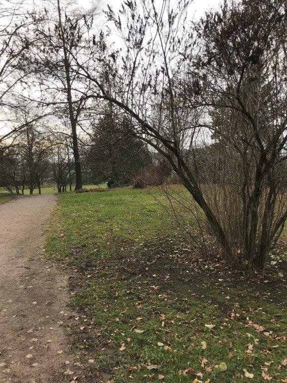 Park "Neue Welt"-Zwickau必去景点