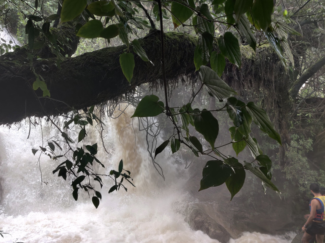 Mil Cascadas-塔斯科必去景点