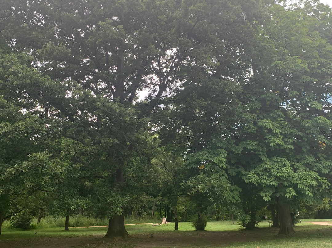Goffs Park景点图片