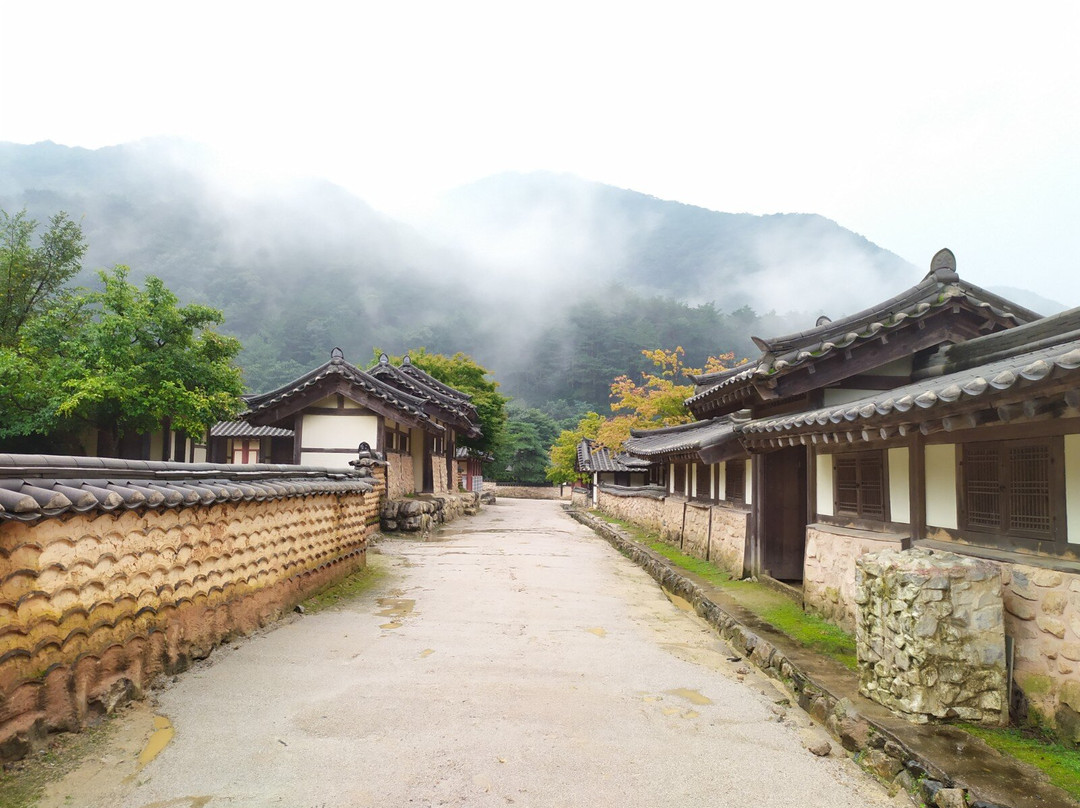 Mungyeongsaejae Open Set-闻庆市必去景点