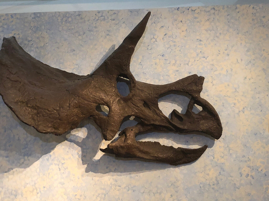 Wyoming State Museum-夏延必去景点