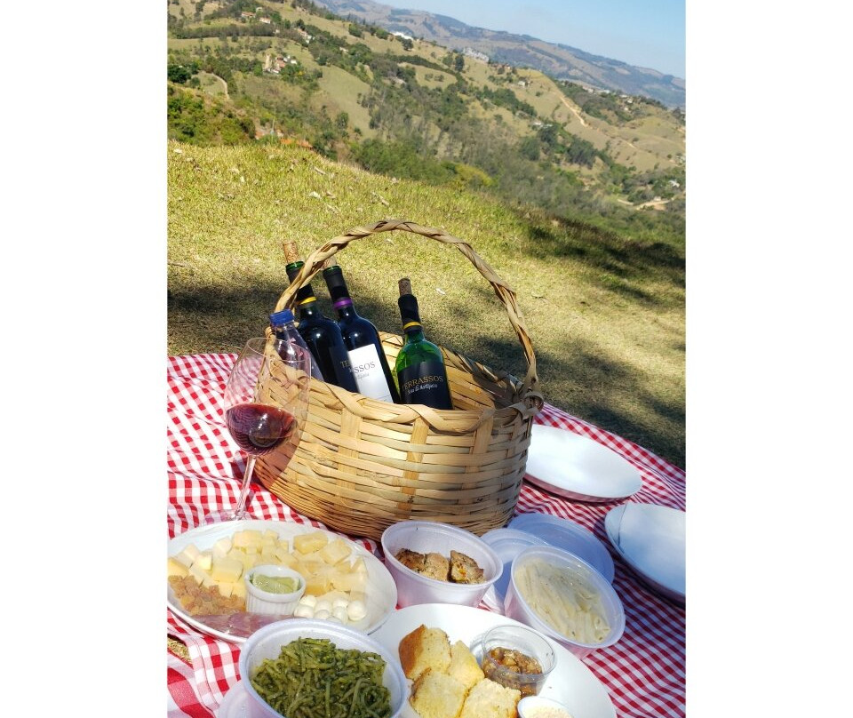 Vinícola Terrassos-Amparo必去景点