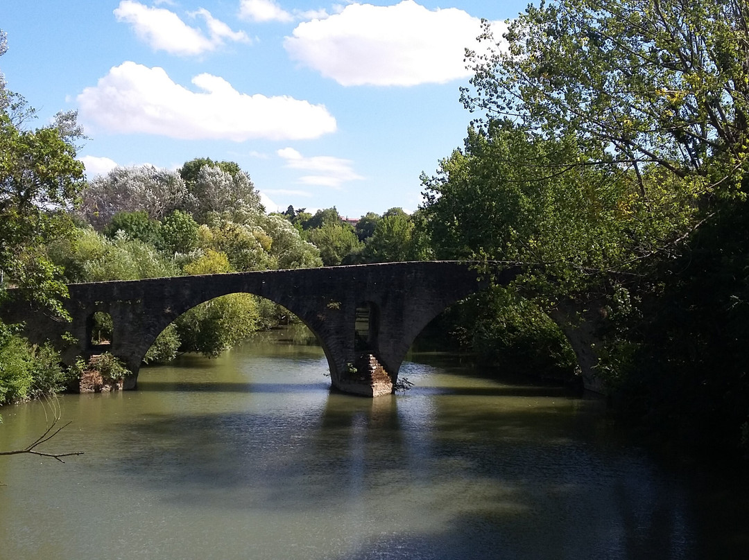 Puente de la Magdalena景点图片