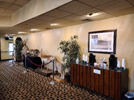 Best Western Dunmar Inn主图