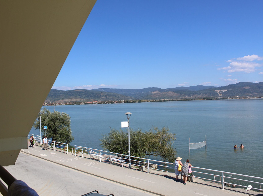 Guest House Bole主图