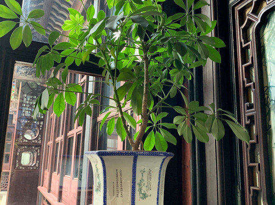 东山雕花楼-苏州市必去景点