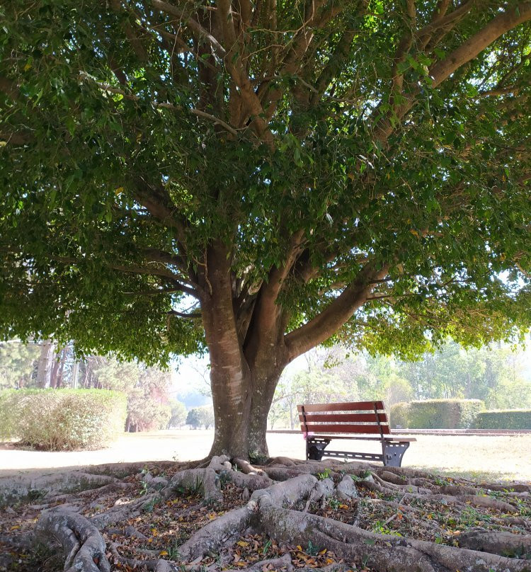 Pousada Vila Minas主图