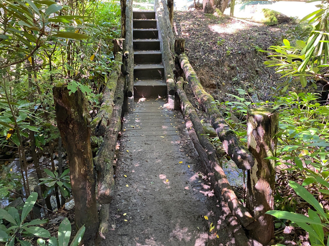 Robert Lake Park景点图片