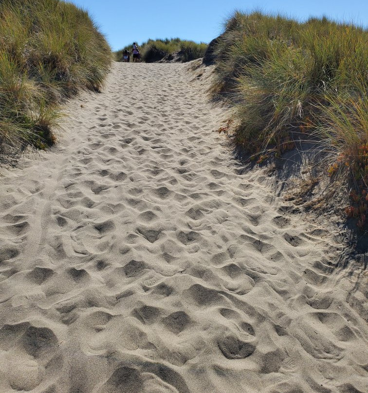 Sonoma Coast State Beach - Salmon Creek景点图片