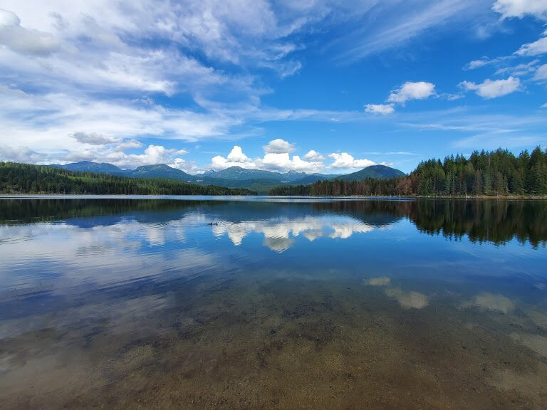 Sasquatch Trails-鲍威尔里弗必去景点