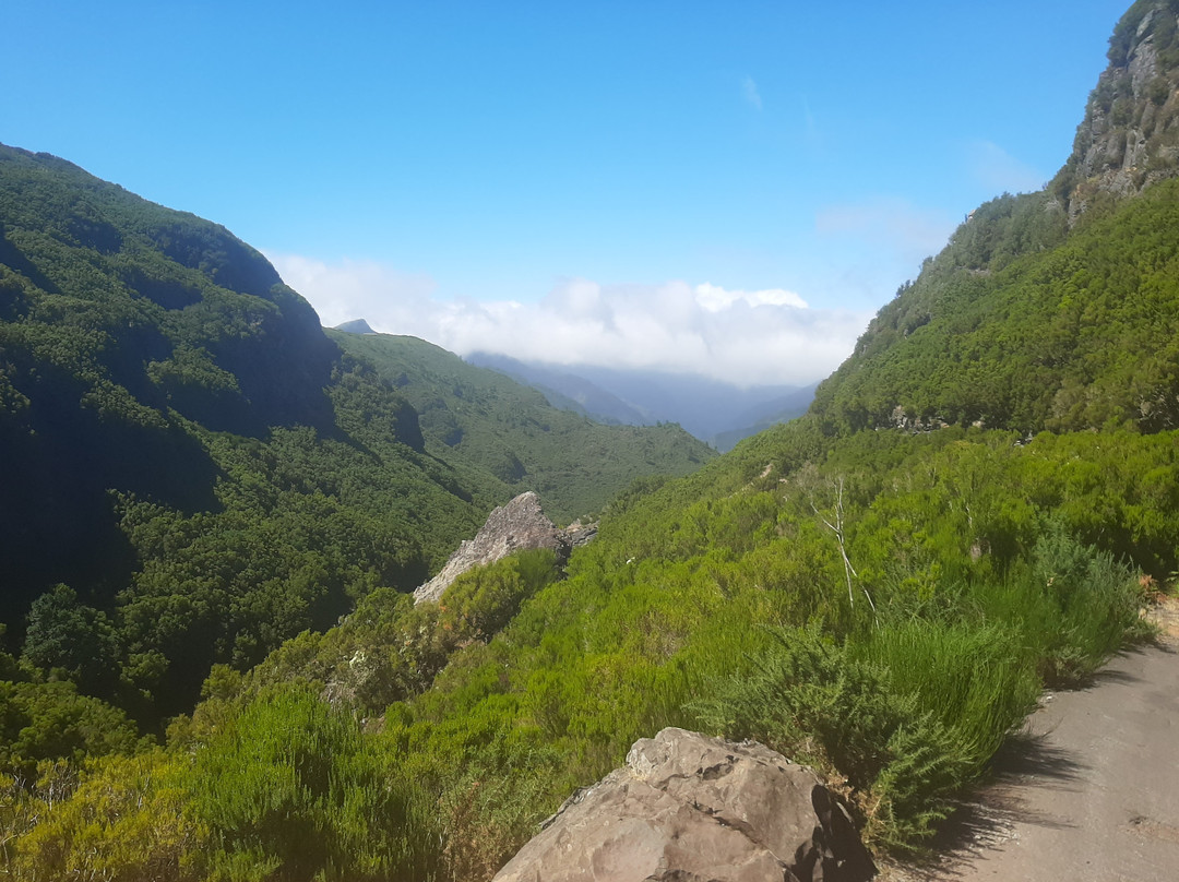 Calheta Taxi Tour-Arco da Calheta必去景点