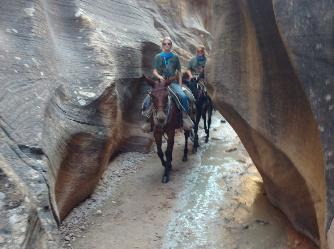 Mecham Outfitters-特罗皮克必去景点