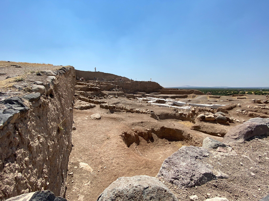 Oylum Hoyuk景点图片