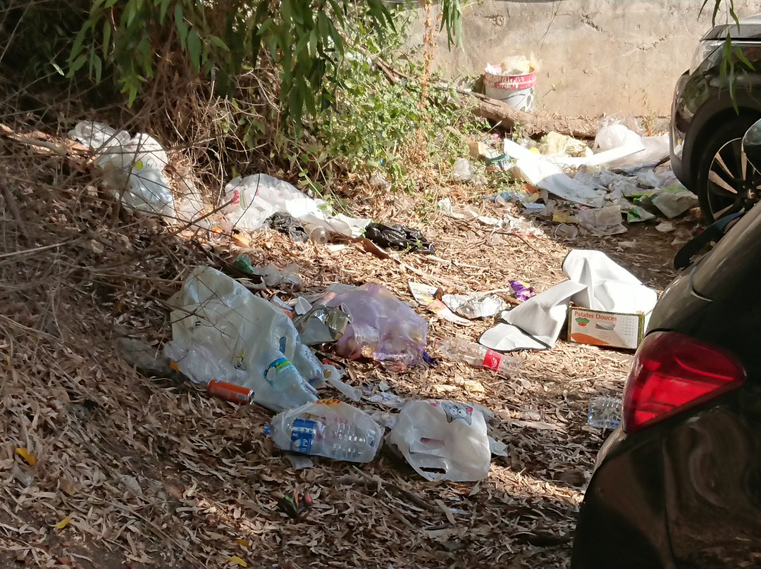 太巴列利奥纳多酒店主图