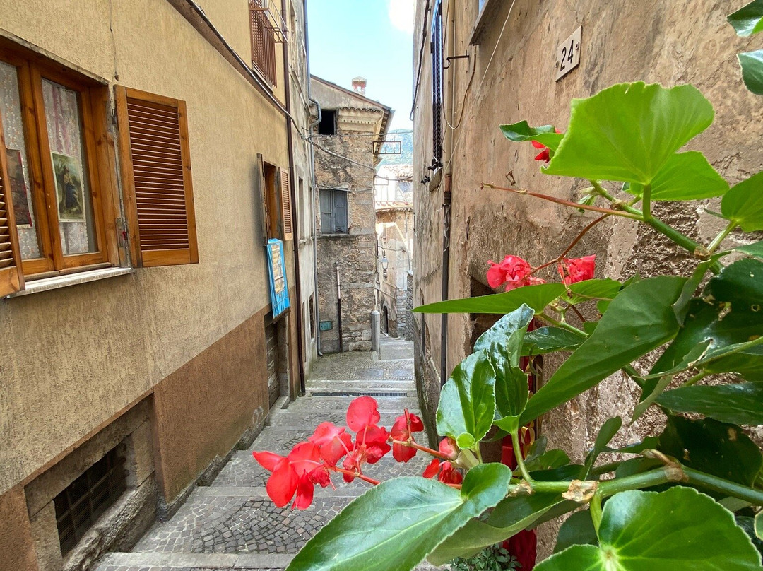 Bed & Breakfast Valle degli Ulivi主图