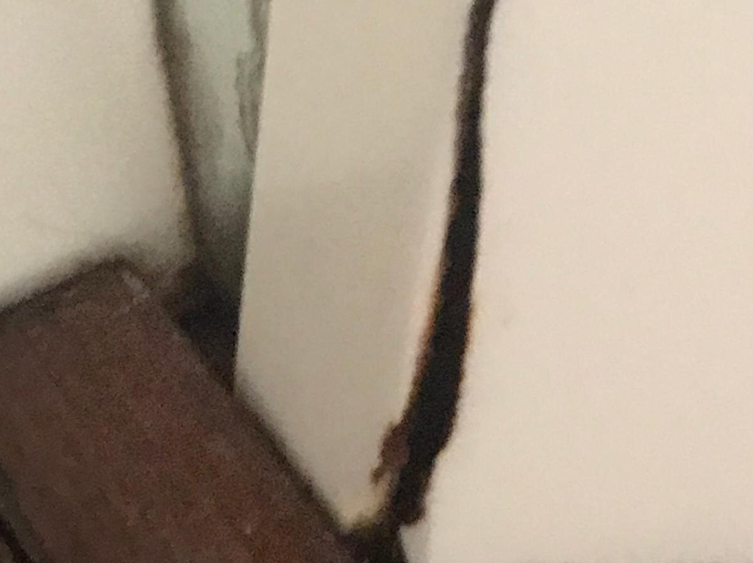 杜阿莫酒店主图