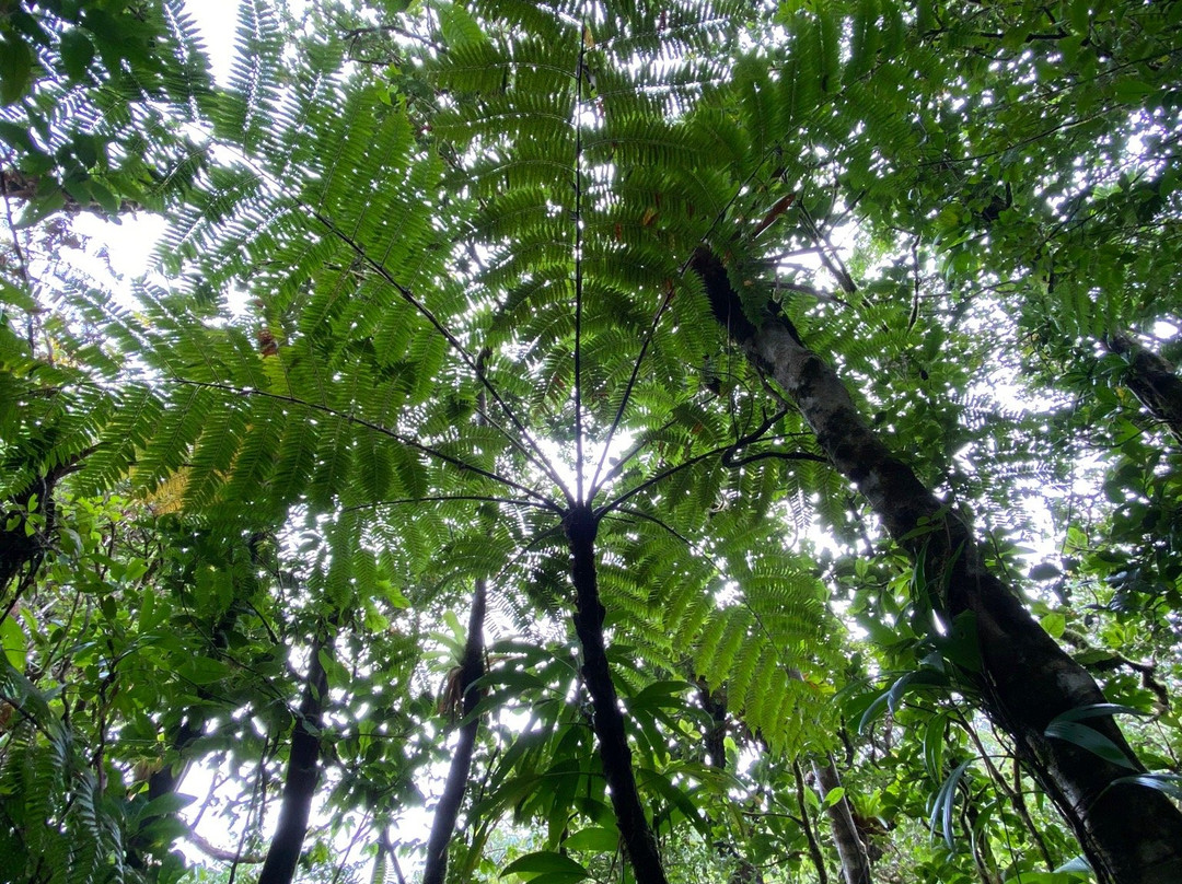 Chute du Galion-Saint-Claude必去景点