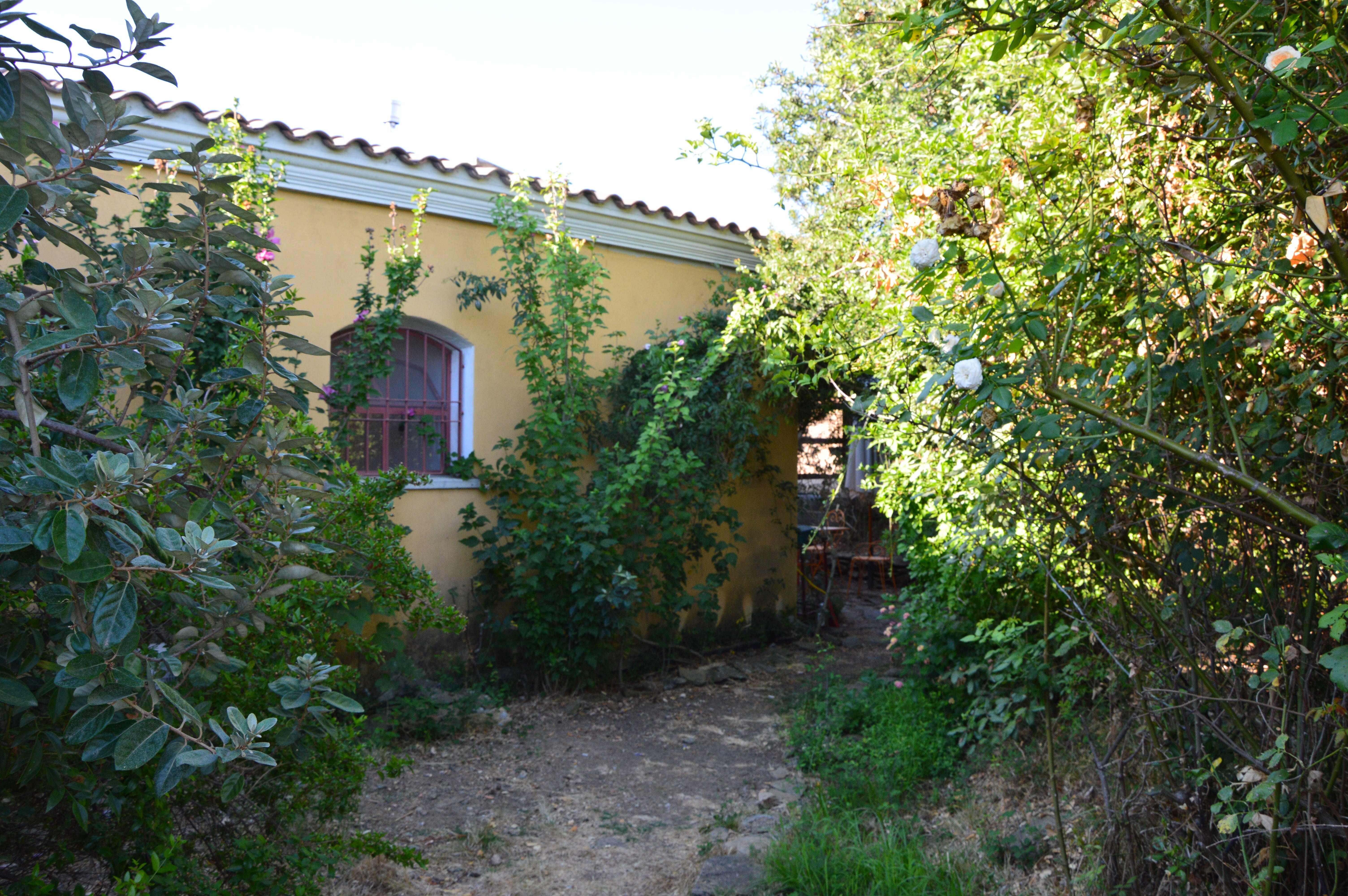 Cavalli di S'Arcaite-官方