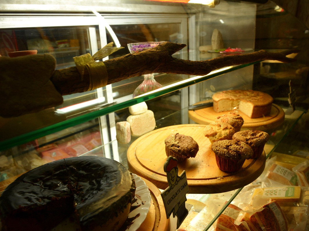 Mohan's Binsar Retreat主图