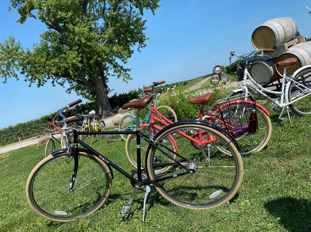 Vino Velo-滨湖尼亚加拉必去景点