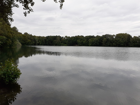 Rensinger See-Kellinghusen必去景点