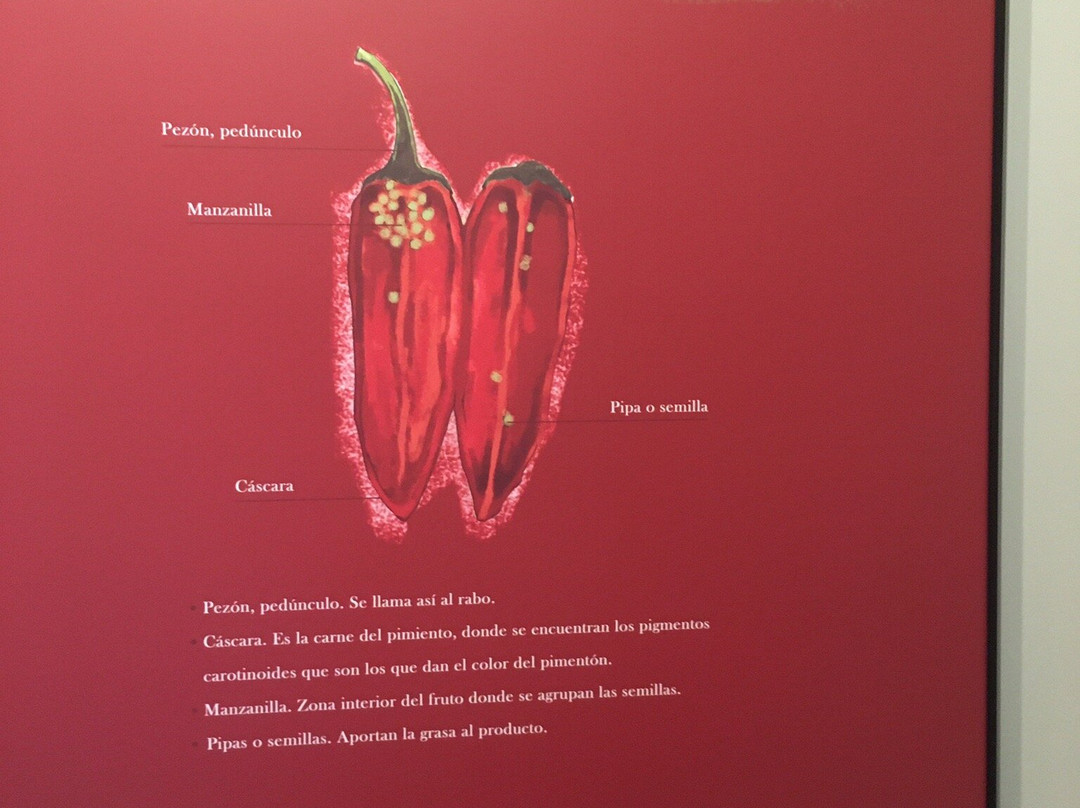 Museo Del Pimenton景点图片