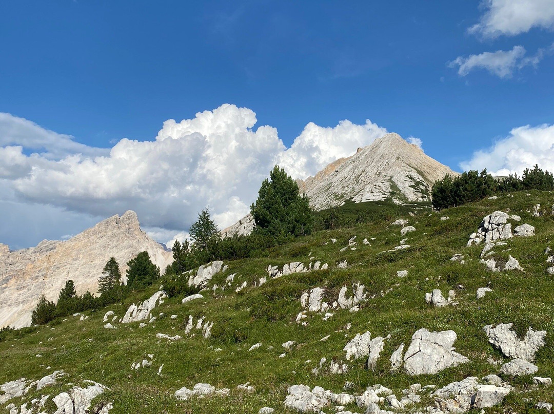 Alpe di Fanes景点图片