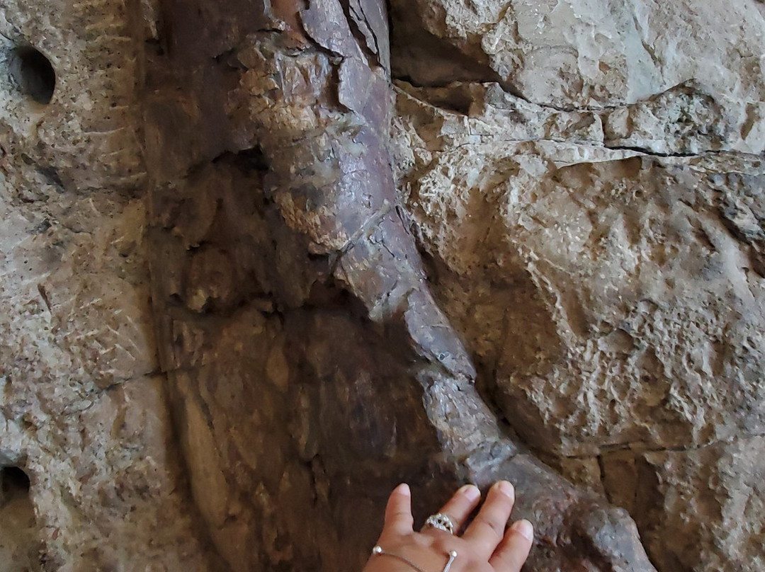 Dinosaur National Monument-Dinosaur必去景点