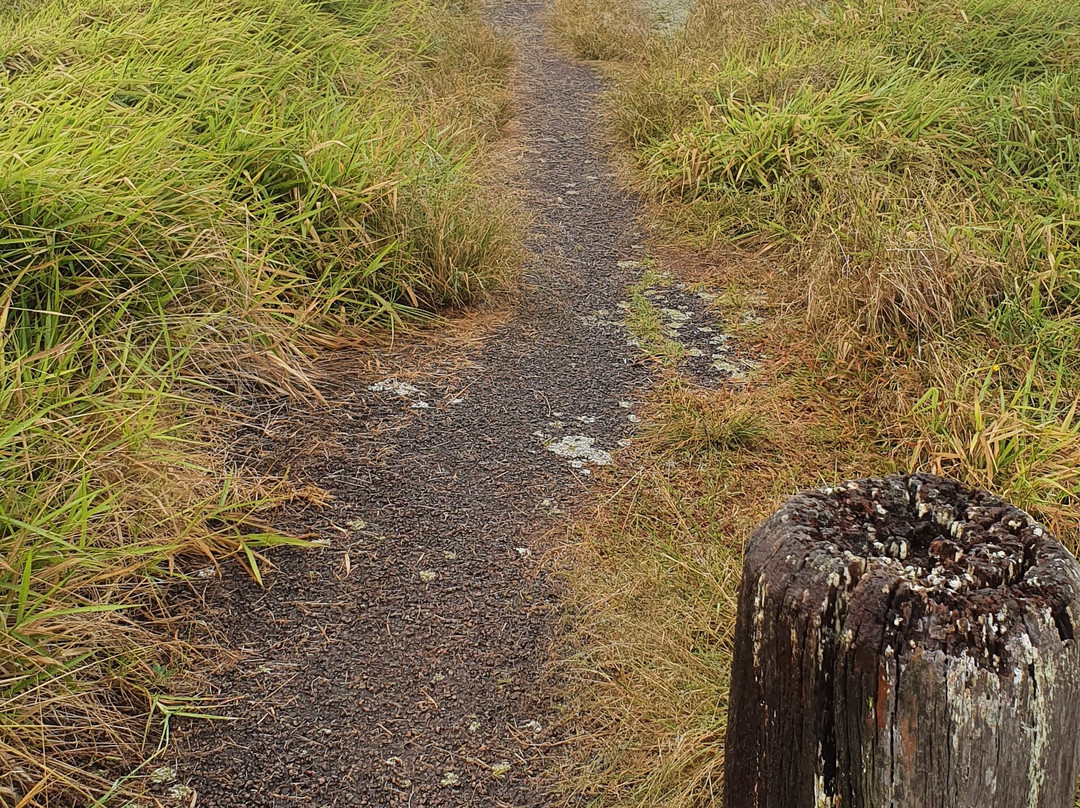Windy Hill Wind Farm Viewing Area-Ravenshoe必去景点