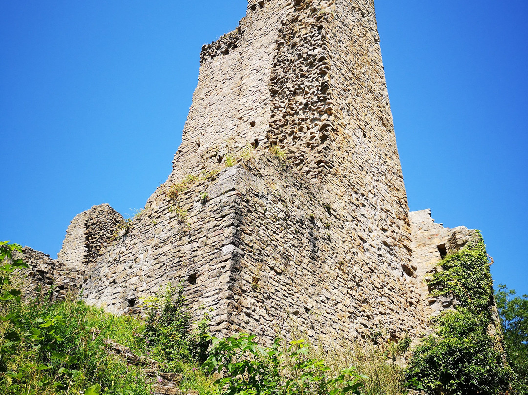 Burgruine Schenkenberg-Thalheim必去景点
