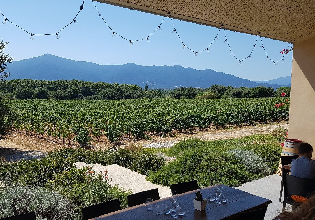 Domaine Sol Payre景点图片