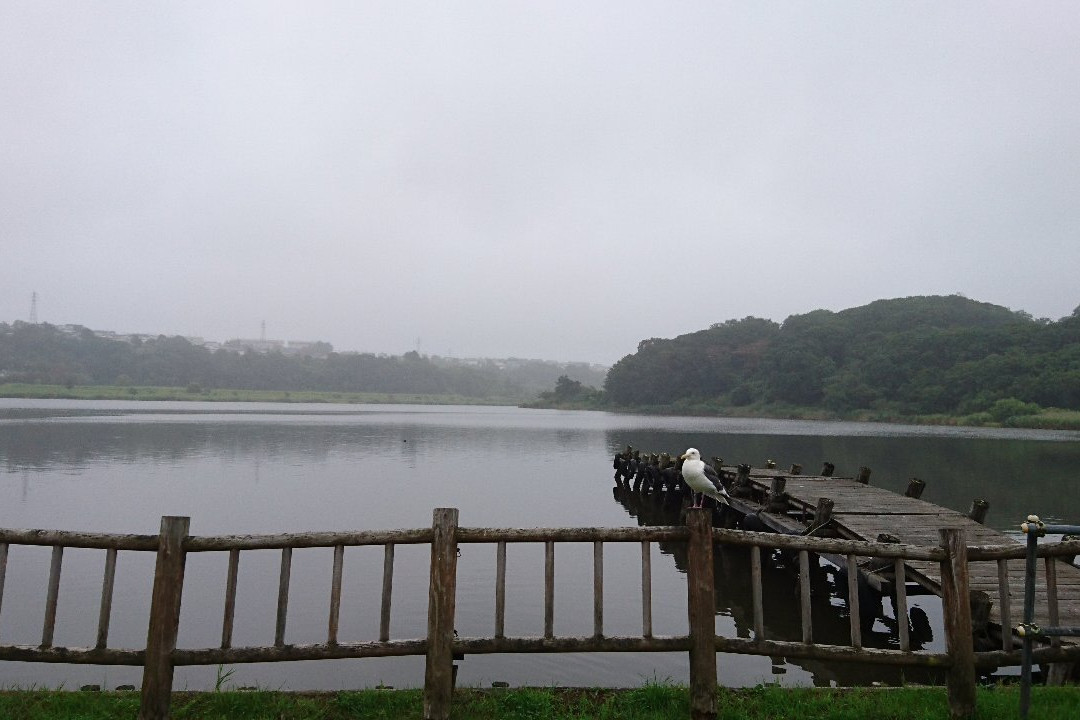 Harutori Lake景点图片