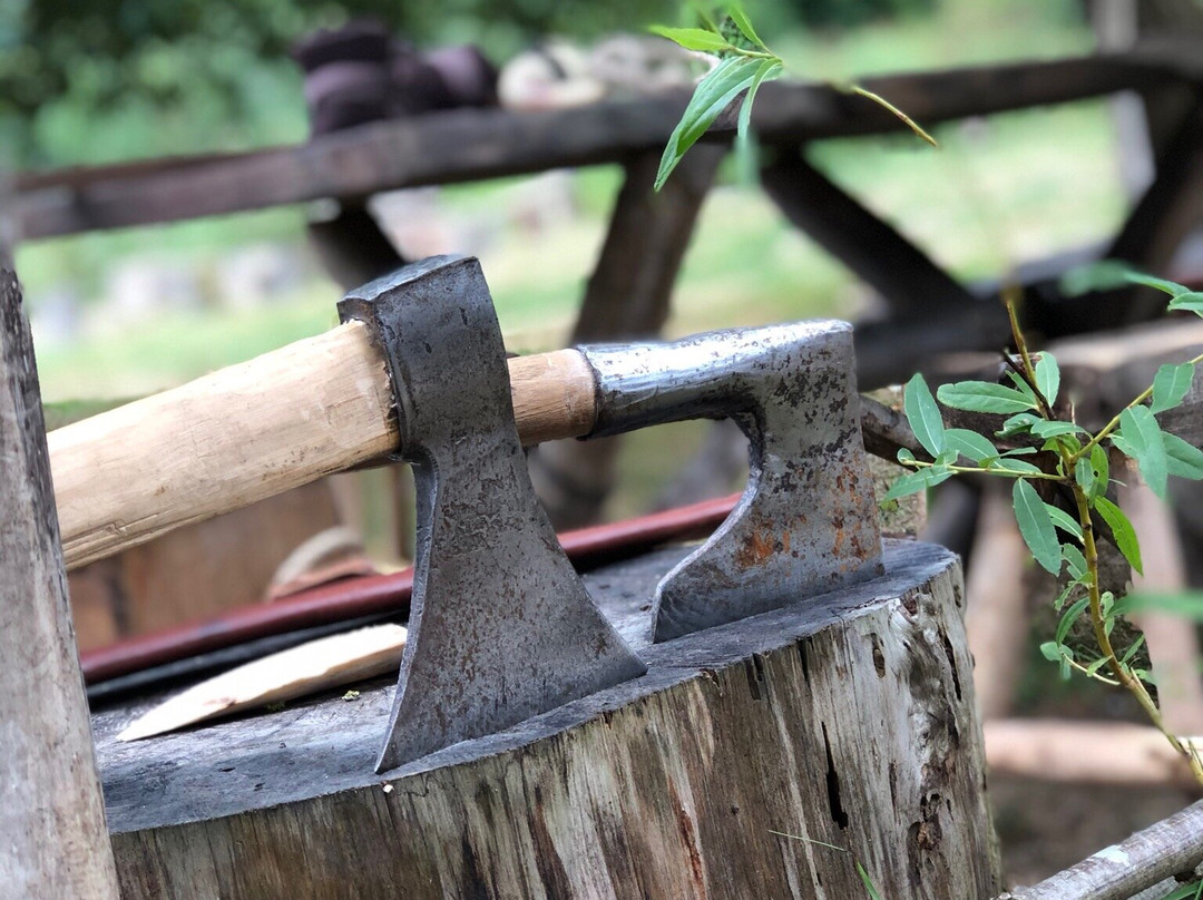 Ornavik, des Vikings aux Normands - Parc historique景点图片