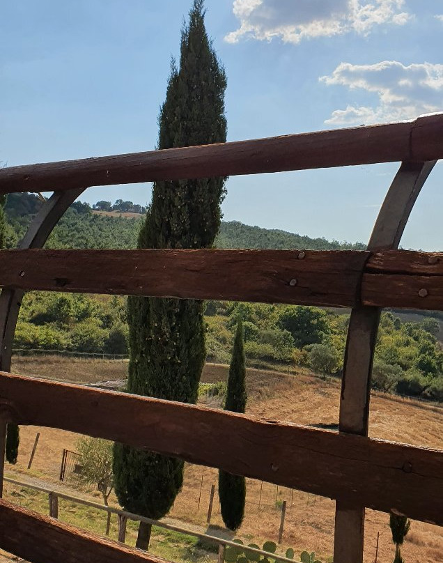 Agriturismo Selvella主图