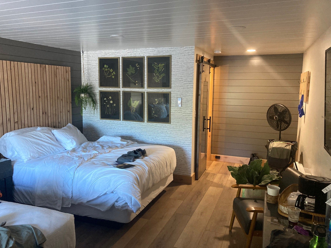 The Scandia Inn主图