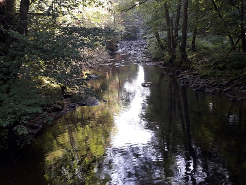 Gorges de la Jordanne-Saint-Cirgues-de-Jordanne必去景点