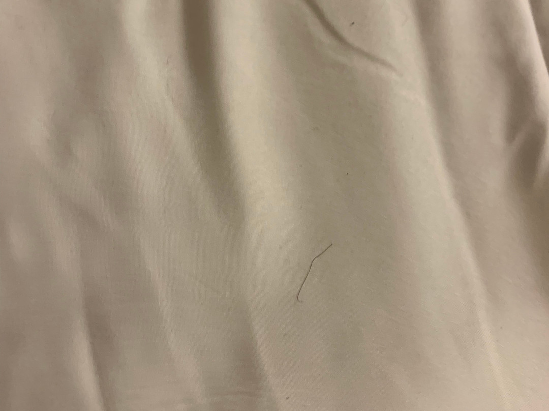 Quality Inn & Suites主图