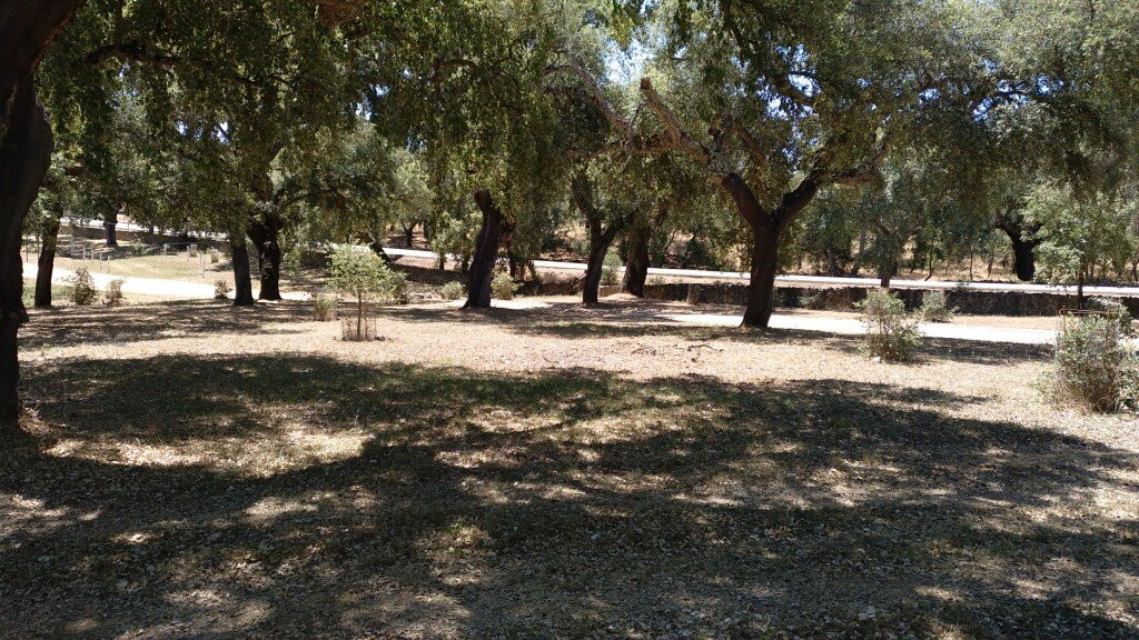Área recreativa de la Dehesa Tres Encinas景点图片